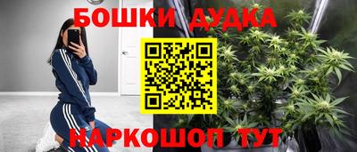 дурь Сланцы